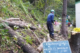 樹木伐採・特殊伐採等