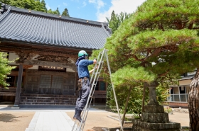 寺院等庭園管理